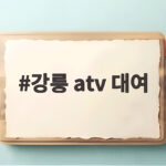 강릉 ATV 대여 가격 코스 총정리 강릉 atv 대여