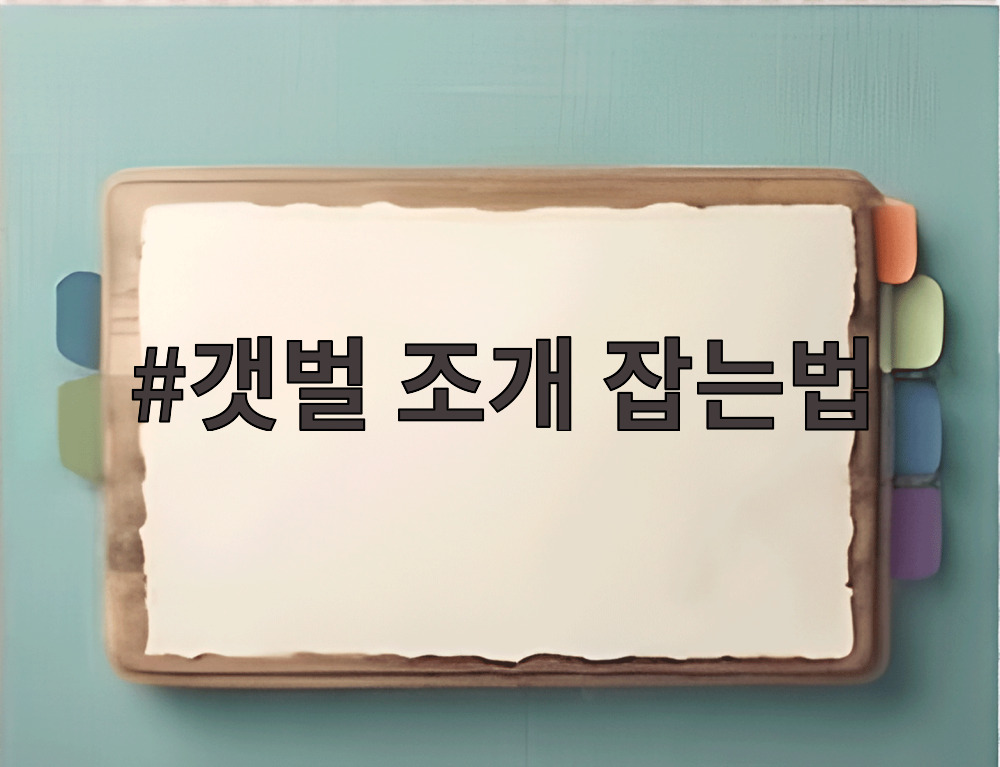 갯벌 조개 잡는법