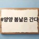 양양 봄날은 간다