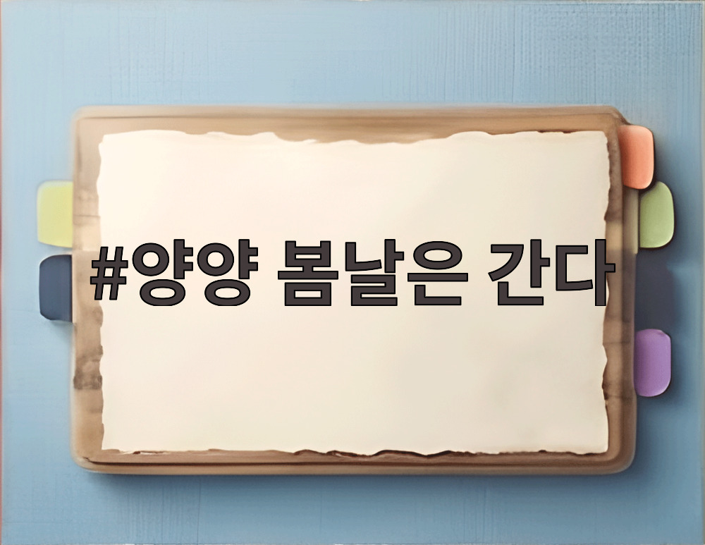 양양 봄날은 간다