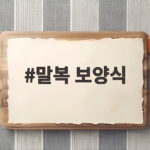 말복 보양식