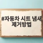 자동차 시트 냄새 제거방법