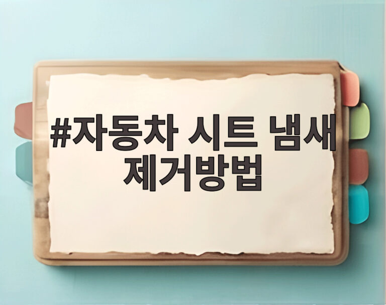 자동차 시트 냄새 제거방법
