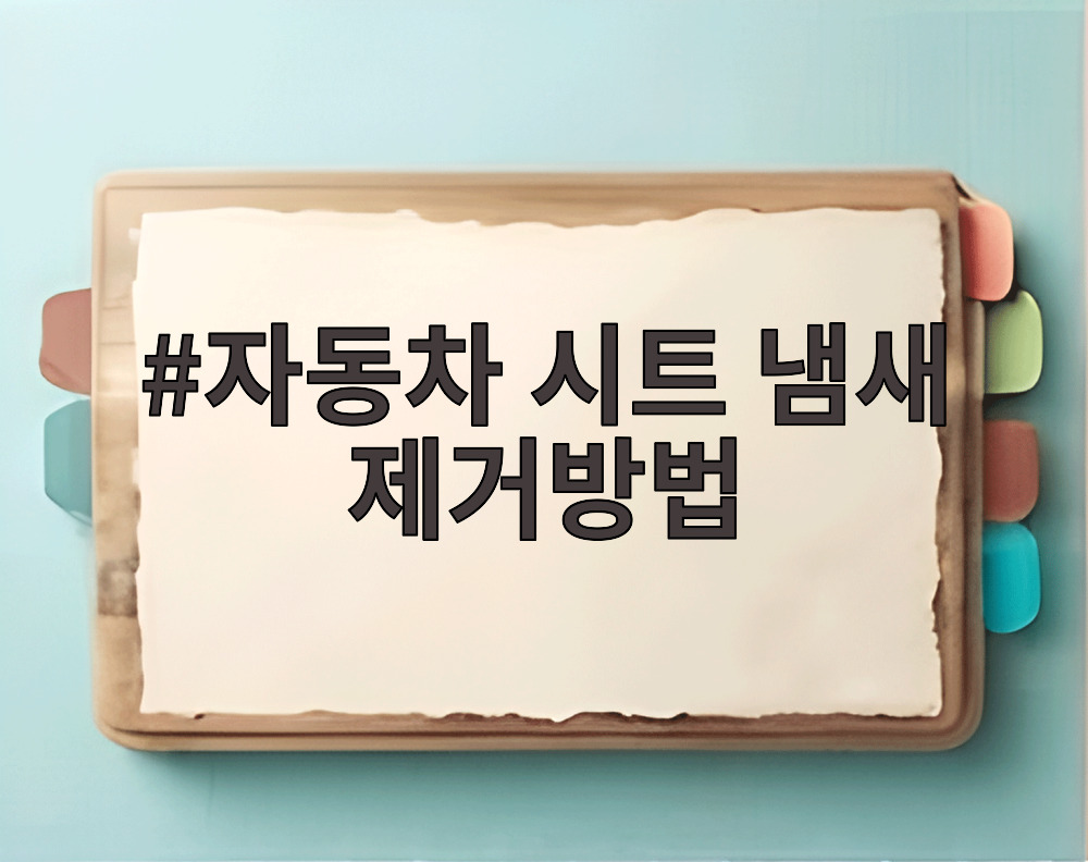 자동차 시트 냄새 제거방법