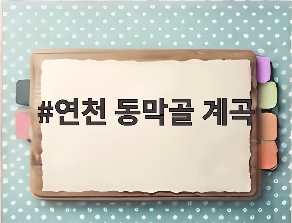 연천 동막골 계곡의 맑은 물과 주변 자연 풍경