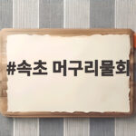 속초 머구리물회