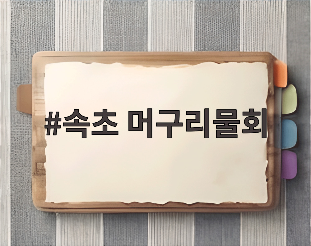 속초 머구리물회