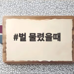 벌 물렸을때 빠른 대처와 병원 가는 기준 벌 물렸을때