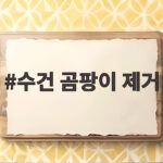 수건 곰팡이 제거