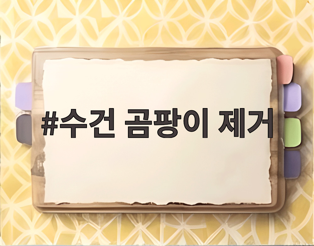 수건 곰팡이 제거
