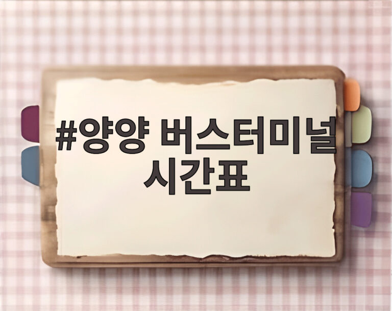 양양 버스터미널 시간표