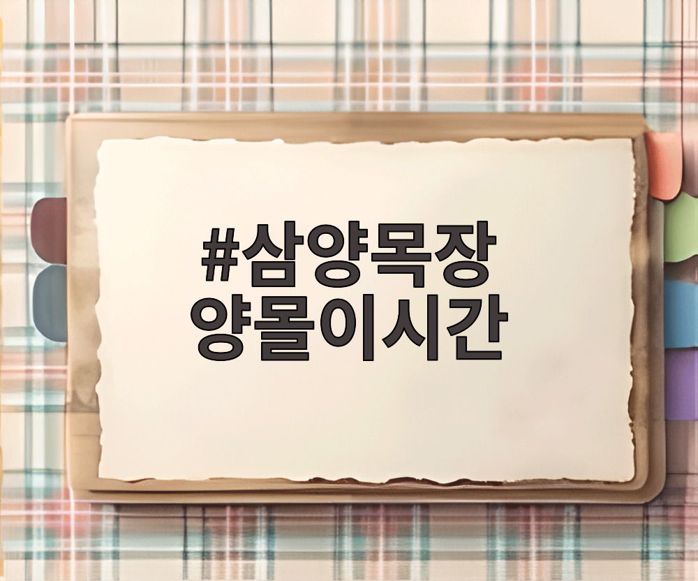 삼양목장 양몰이시간