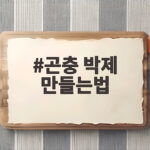 곤충 박제 만들는법