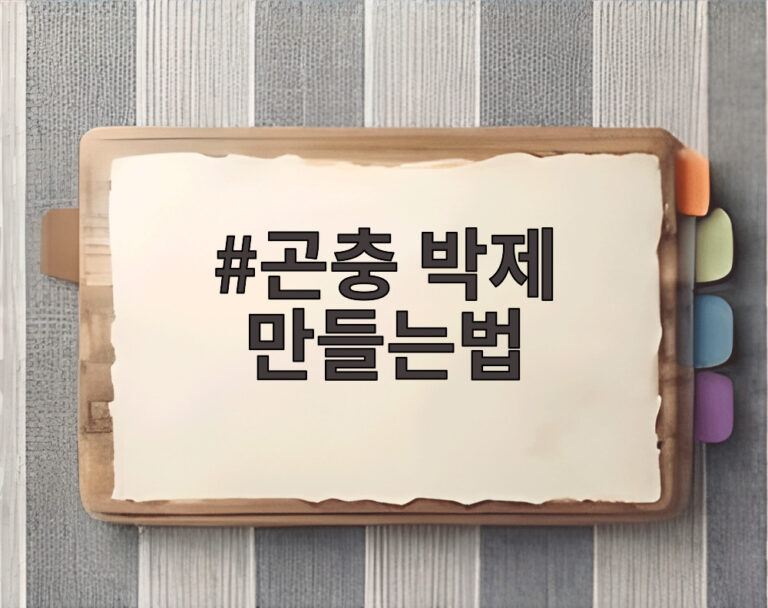 곤충 박제 만들는법