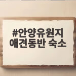 안양유원지 애견동반 숙소 추천 안양유원지 애견동반 숙소