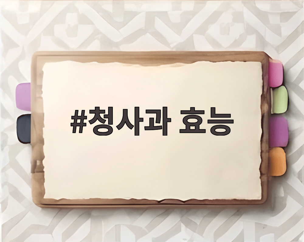 청사과 효능