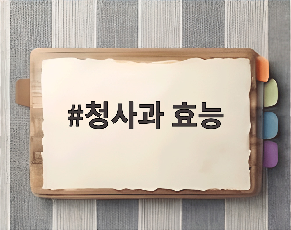 청사과 효능