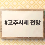 고추시세 전망