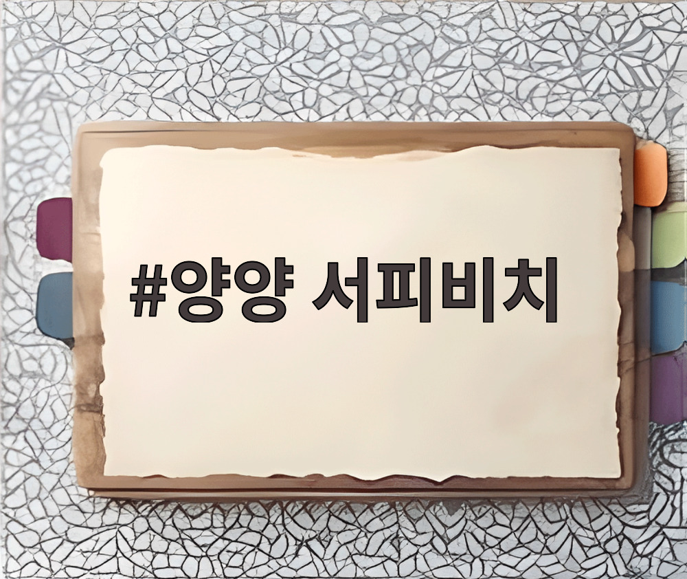 양양 서피비치 전경 사진, 이국적인 야자수와 넓은 백사장 모습