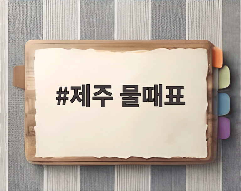 제주 물때표