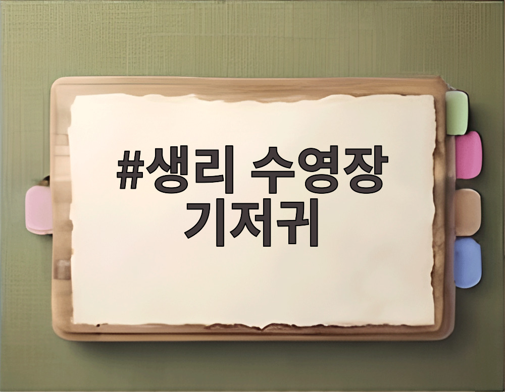 생리 수영장 기저귀