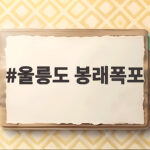 울릉도 봉래폭포 삼나무숲 트레킹 울릉도 봉래폭포