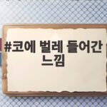 코에 벌레 들어간 느낌