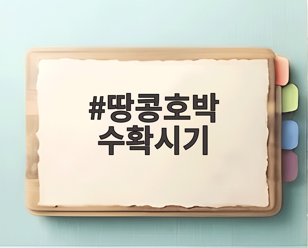땅콩호박 수확시기