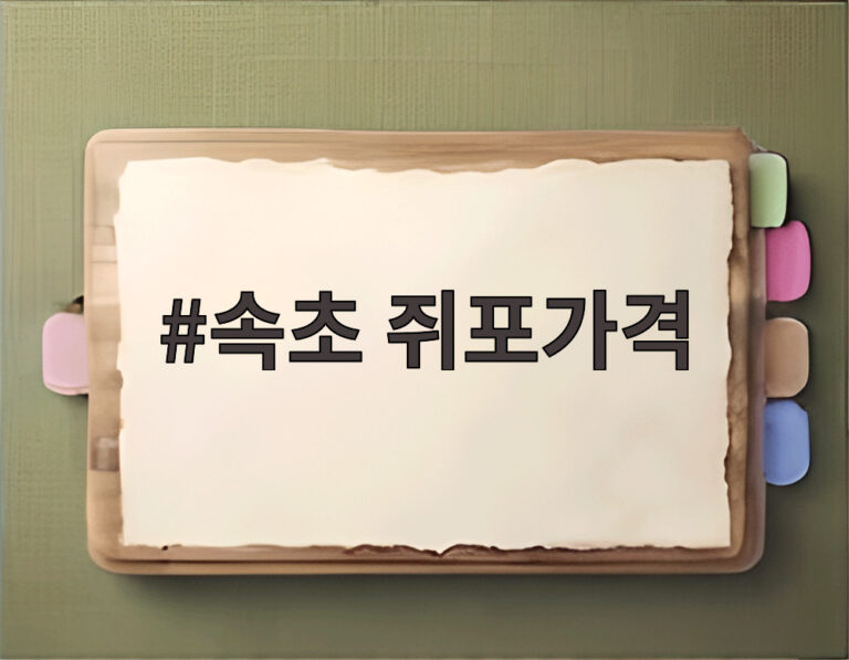 속초 쥐포가격