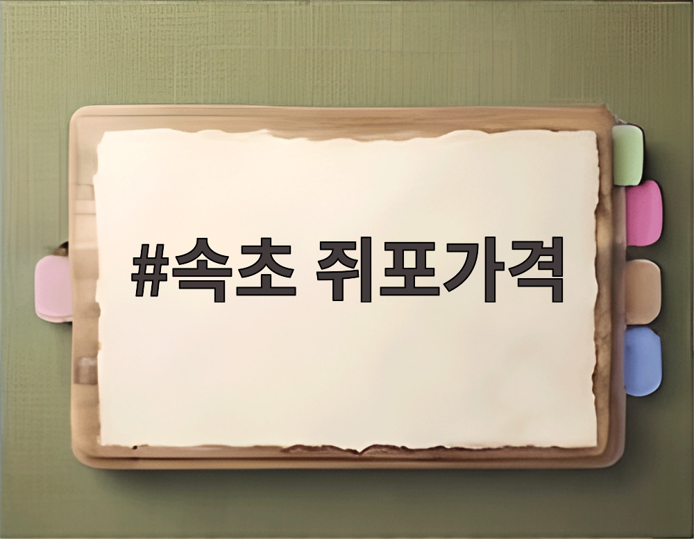 속초 쥐포가격
