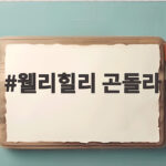 웰리힐리 곤돌라
