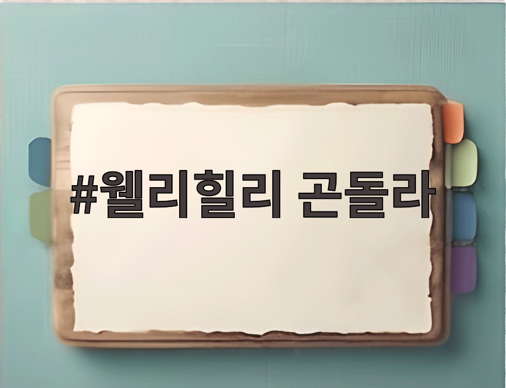 웰리힐리 곤돌라