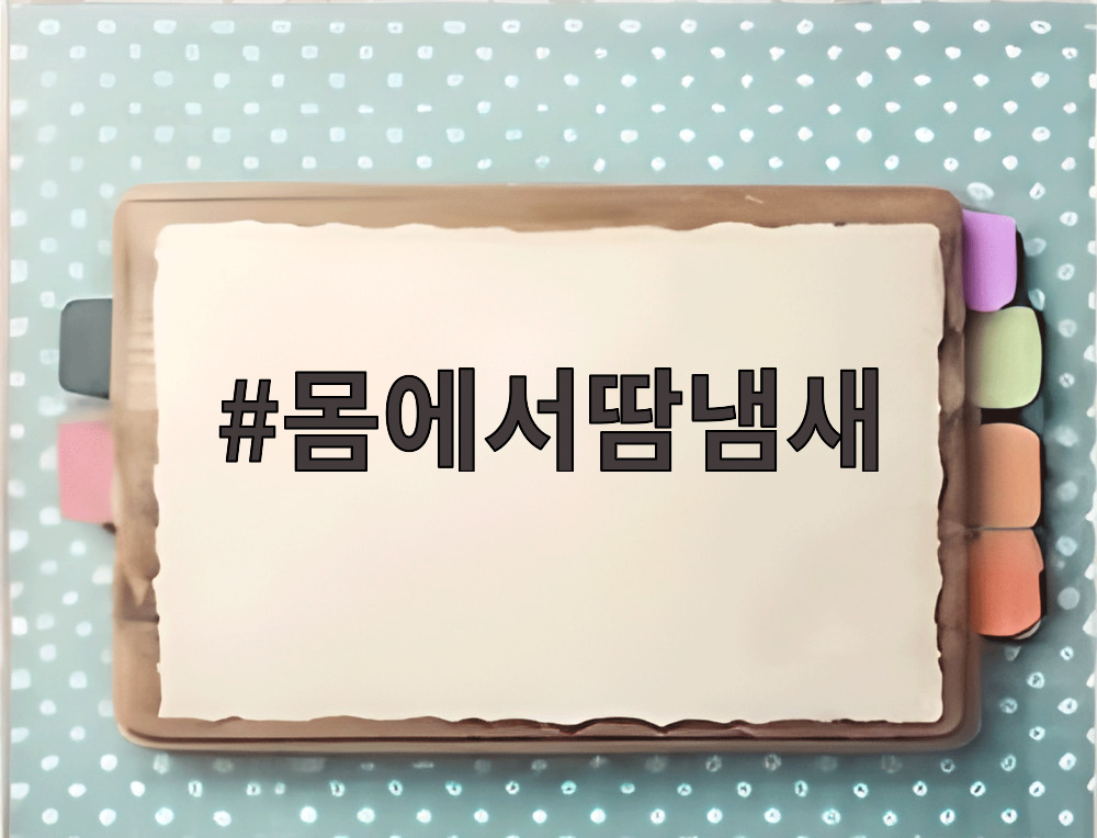 몸에서땀냄새