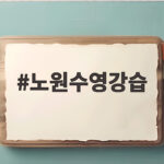 노원수영강습