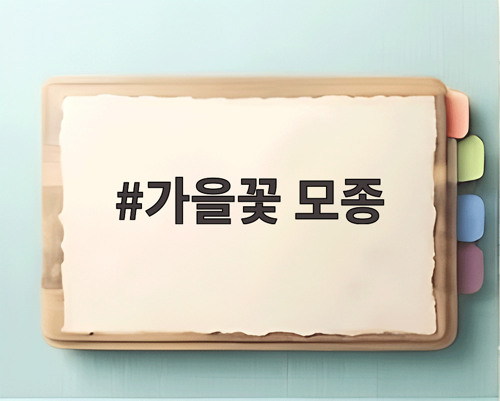 가을꽃 모종