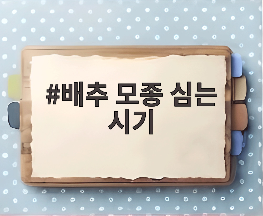 배추 모종 심는 시기