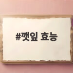 깻잎 효능