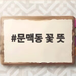 문맥동 꽃 뜻