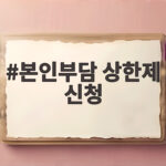 본인부담 상한제 신청