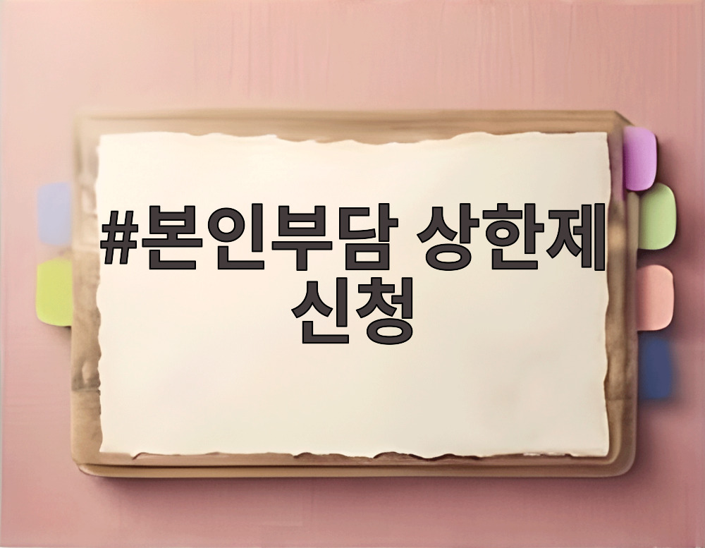 본인부담 상한제 신청
