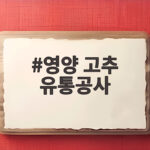 영양 고추 유통공사