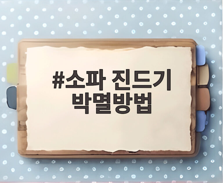 소파 진드기 박멸방법