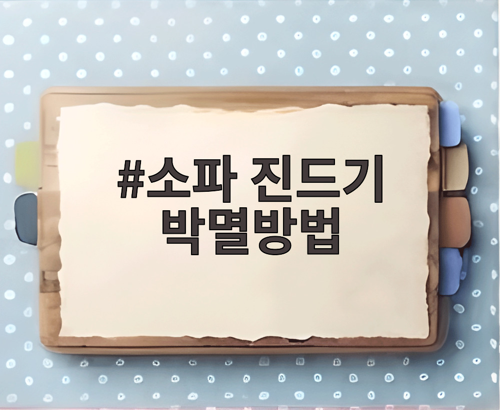 소파 진드기 박멸방법