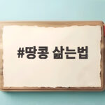 땅콩 삶는법