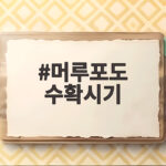 머루포도 수확시기 이렇게 확인하세요 머루포도 수확시기