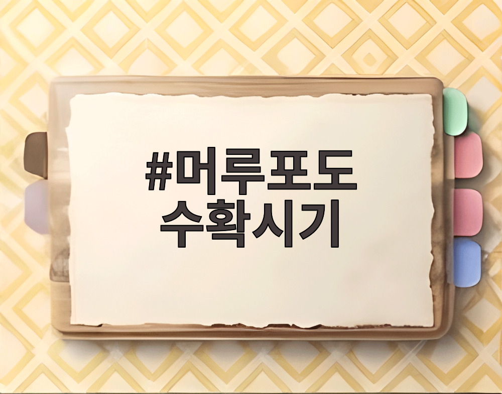 머루포도 수확시기