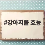 강아지풀 효능 총정리와 주의사항 강아지풀 효능