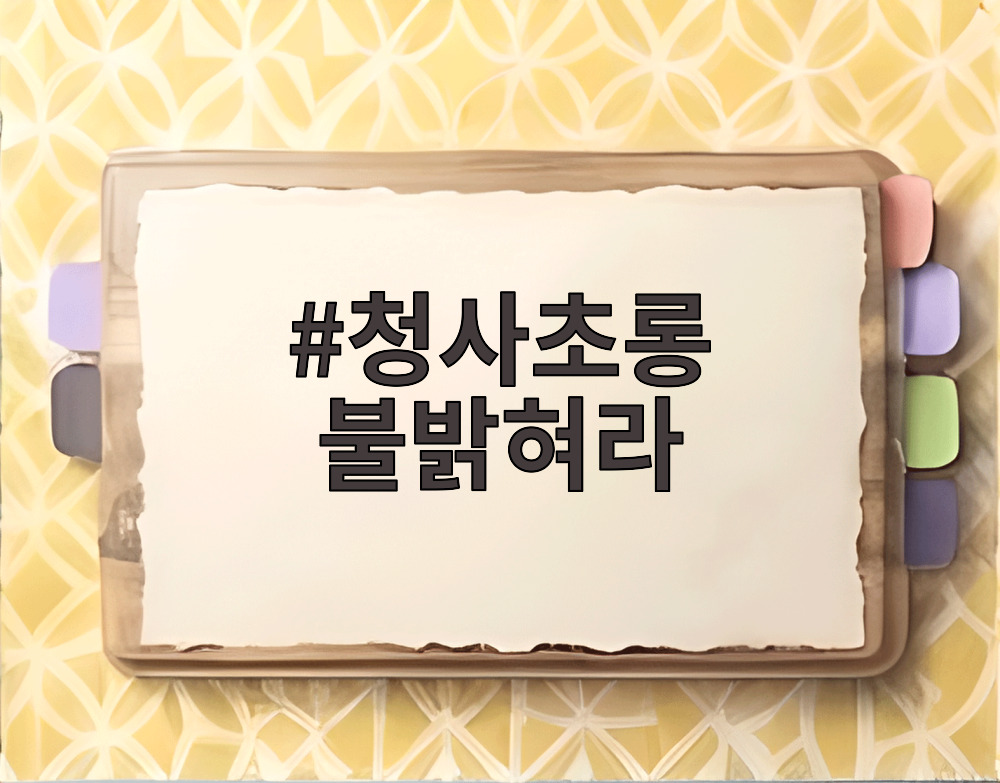 청사초롱 불밝혀라