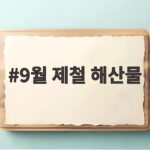 9월 제철 해산물