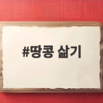 땅콩 삶기